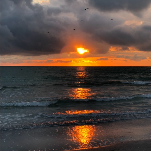 Meet your Posher, Brandy - Picture 1 of 2